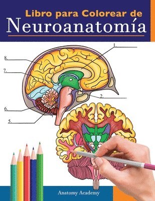Anatomy Academy - Libro para colorear de neuroanatomía, Häftad