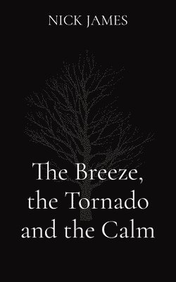 Nick James - Breeze, the Tornado and the Calm, Häftad. Tillgänglighet: Tillfälligt slut