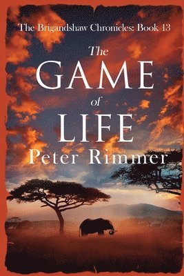 Peter Rimmer - Game of Life, Häftad