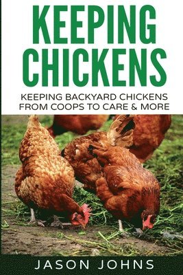 Jason Johns - Keeping Chickens For Beginners, Häftad