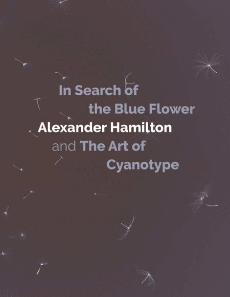 Alexander Hamilton - In Search of the Blue Flower, Inbunden