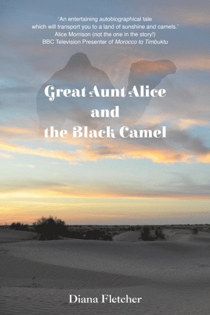 Diana Fletcher - Great Aunt Alice and the Black Camel, E-bok