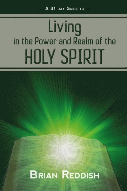 Brian Reddish - Living in the Realm and Power of the Holy Spirit, E-bok