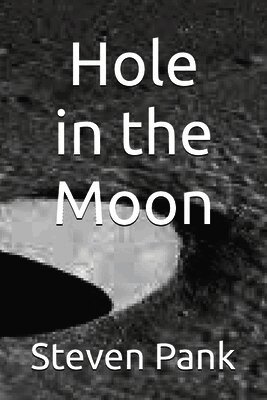 Steven Pank - Hole in the Moon, Häftad