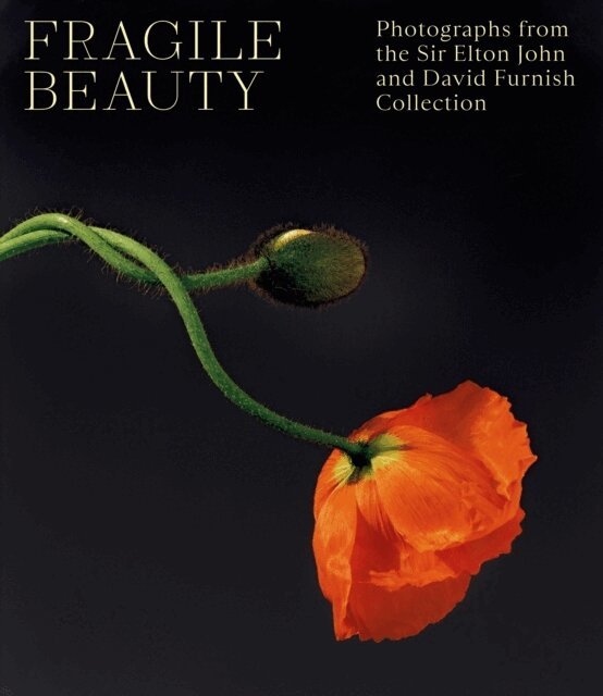 Duncan Forbes, Newell Harbin, Lydia Caston - Fragile Beauty, Inbunden
