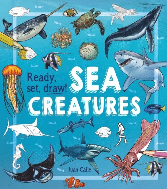 William Potter, Juan Calle - Ready, Set, Draw! Sea Creatures, E-bok