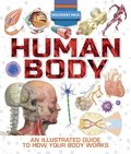 Discovery Pack: Human Body