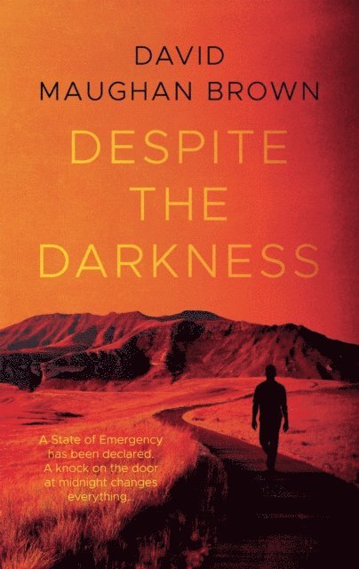 David Maughan Brown - Despite the Darkness, E-bok
