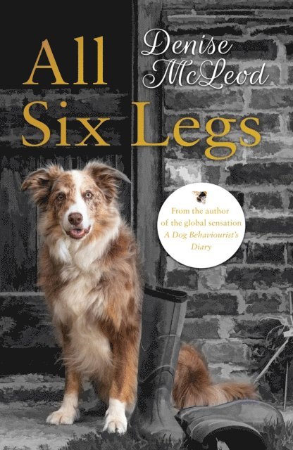 All Six Legs