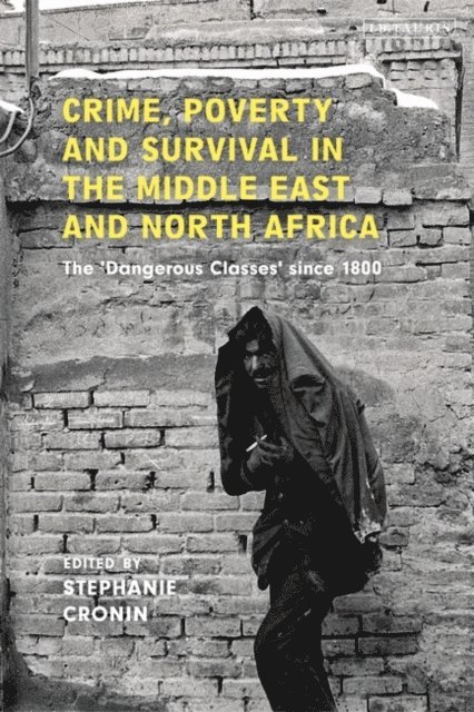 Stephanie Cronin - Crime, Poverty and Survival in the Middle East and North Africa, E-bok
