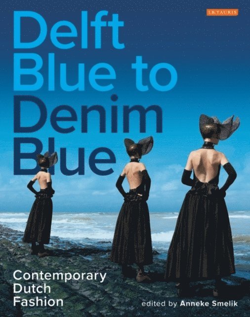 Anneke Smelik - Delft Blue to Denim Blue, E-bok
