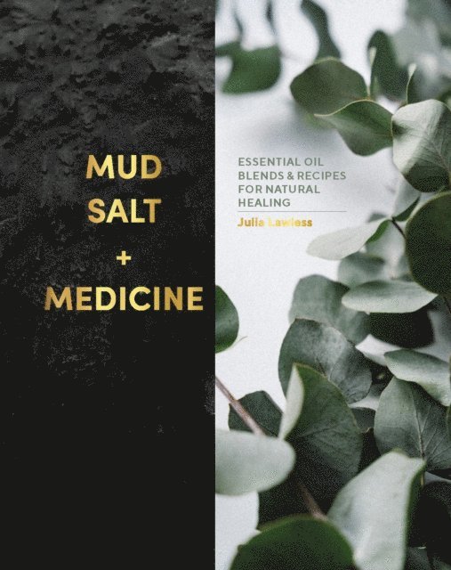 Julia Lawless - Mud, Salt and Medicine, E-bok