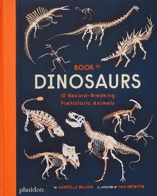 Book of Dinosaurs av Gabrielle Balkan