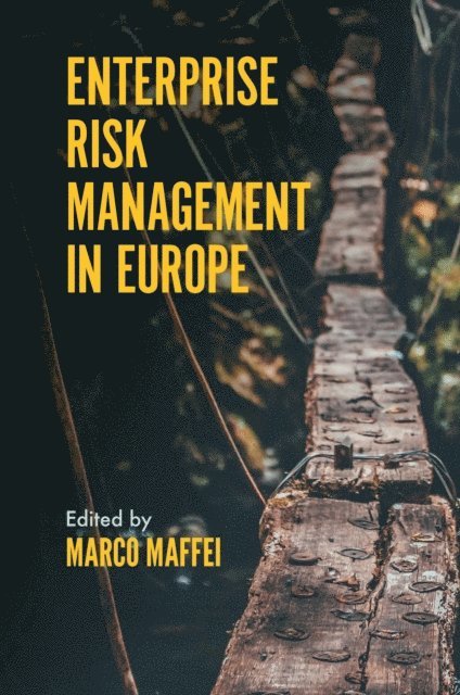 Marco Maffei - Enterprise Risk Management in Europe, E-bok