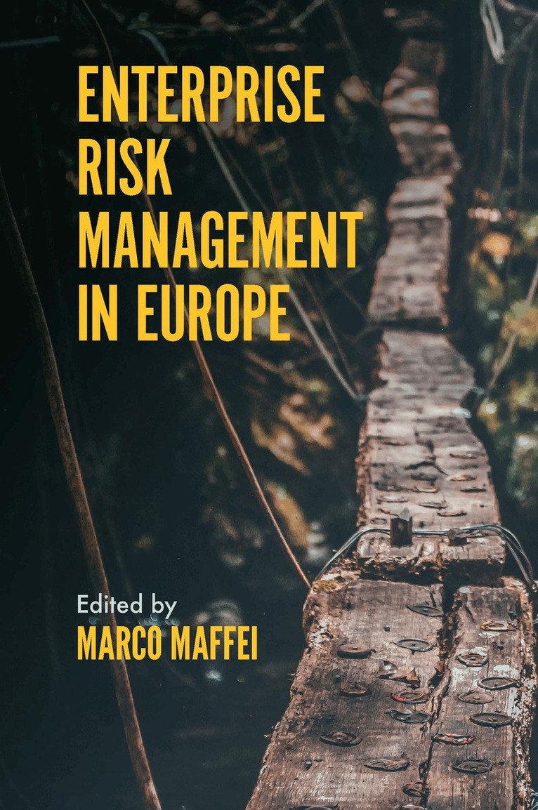 Marco Maffei - Enterprise Risk Management in Europe, Inbunden