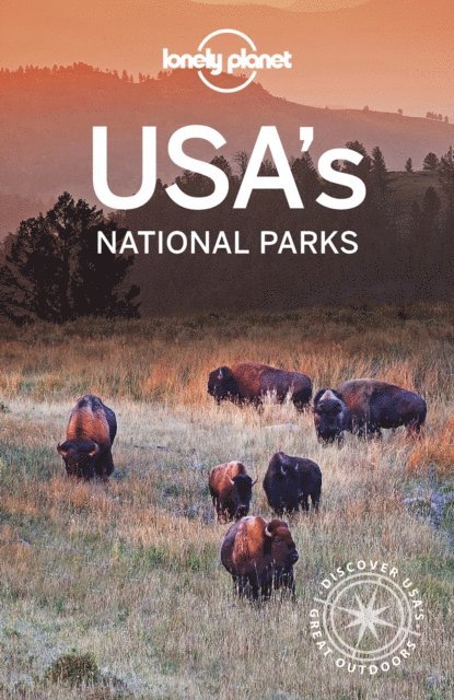 Lonely Planet USA's National Parks 3