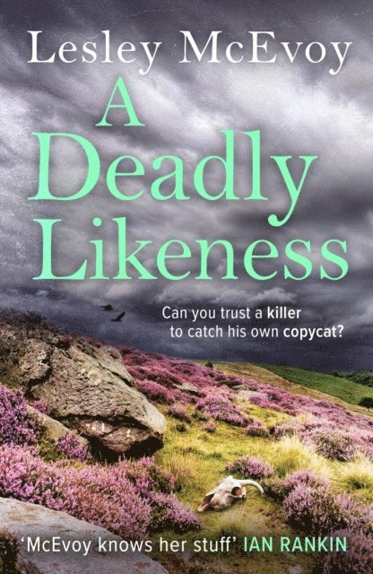 Lesley McEvoy - Deadly Likeness, E-bok