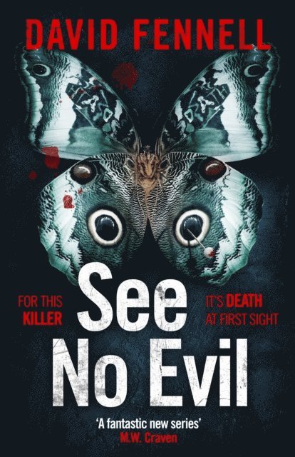 David Fennell - See No Evil, E-bok