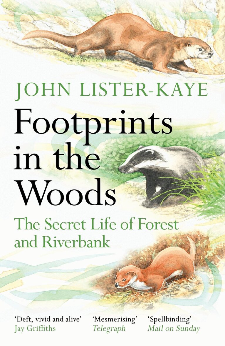 John Lister-Kaye - Footprints in the Woods, Häftad. Tillgänglighet: Lägg i varukorg