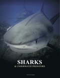 Sharks and Underwater Predators