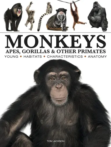 Monkeys