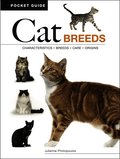 Cat Breeds