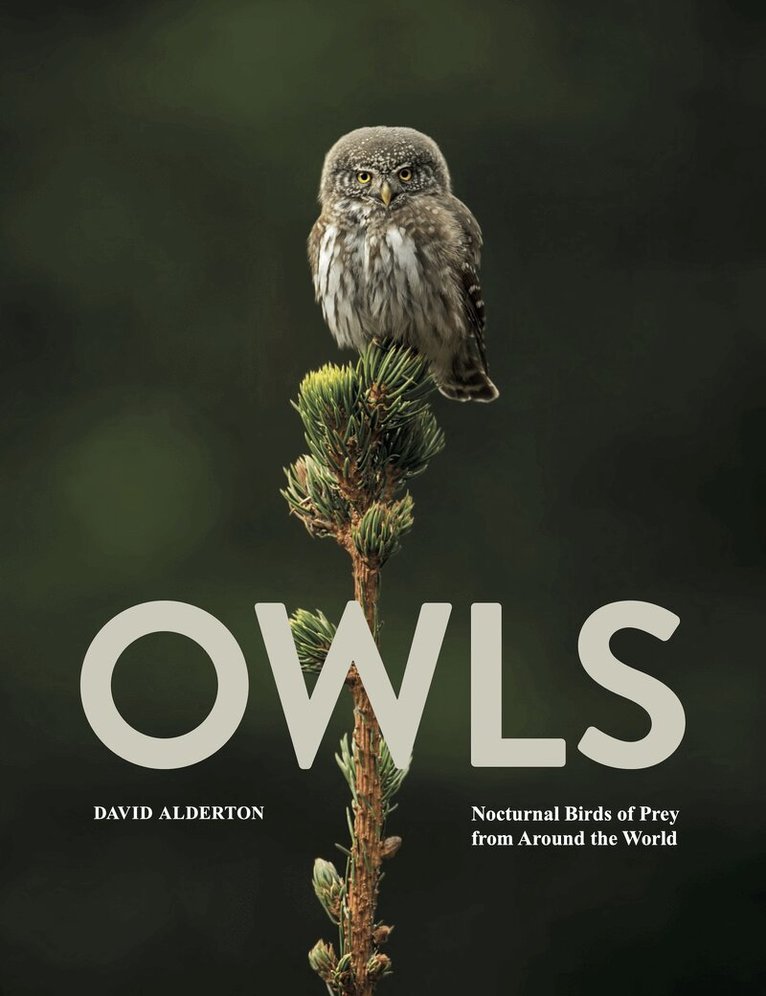 David Alderton - Owls, Inbunden