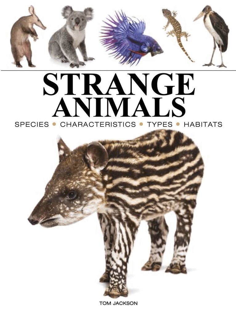 Tom Jackson - Strange Animals, Häftad