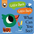 Little Duck! Little Duck! What Can You See?