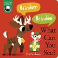 Reindeer! Reindeer! What Can You See?