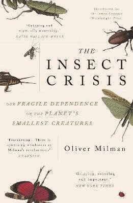 Oliver Milman - Insect Crisis, Häftad