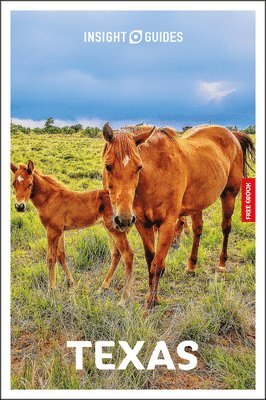 Rashmi Narayan, Insight Guides - Insight Guides Texas: Travel Guide with eBook, Häftad