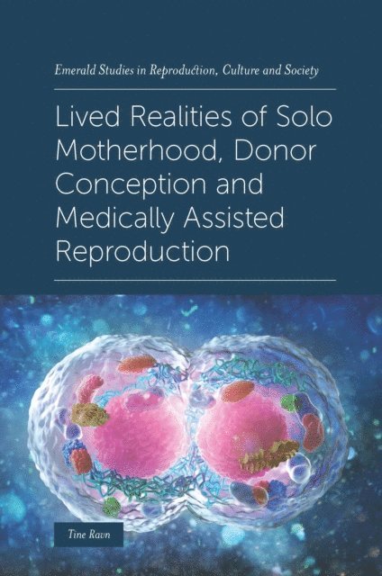 Tine Ravn - Lived Realities of Solo Motherhood, Donor Conception and Medically Assisted Reproduction, E-bok