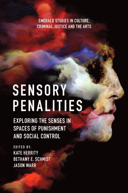 Jason Warr, Bethany E. Schmidt, Kate Herrity - Sensory Penalities, E-bok