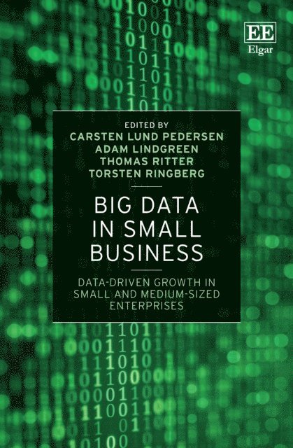 Torsten Ringberg, Thomas Ritter, Adam Lindgreen, Carsten Lund Pedersen - Big Data in Small Business, E-bok
