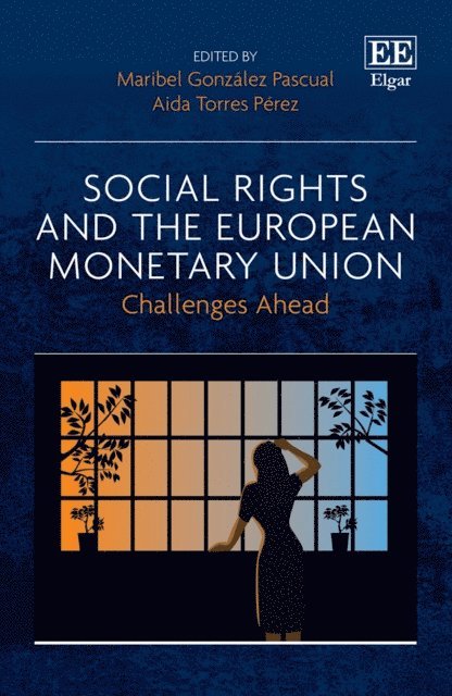 Aida Torres Perez, Maribel Gonzalez Pascual - Social Rights and the European Monetary Union, E-bok