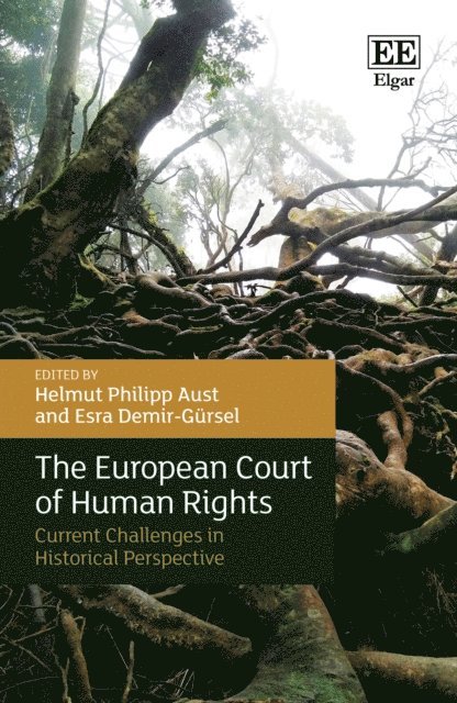 Esra Demir-Gursel, Helmut Philipp Aust - European Court of Human Rights, E-bok