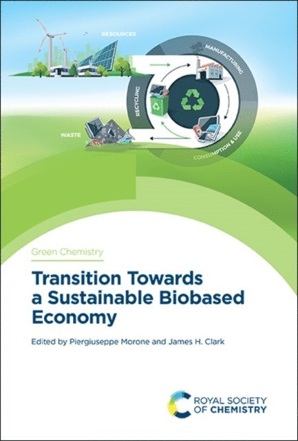 James H Clark, Piergiuseppe Morone - Transition Towards a Sustainable Biobased Economy, E-bok