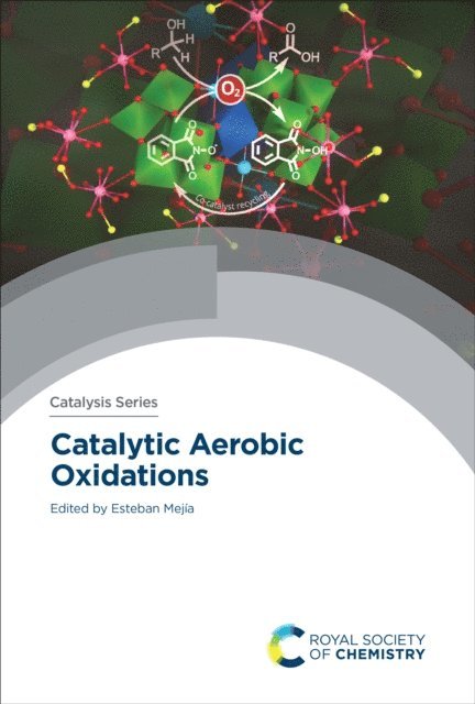 Esteban Mejia - Catalytic Aerobic Oxidations, E-bok