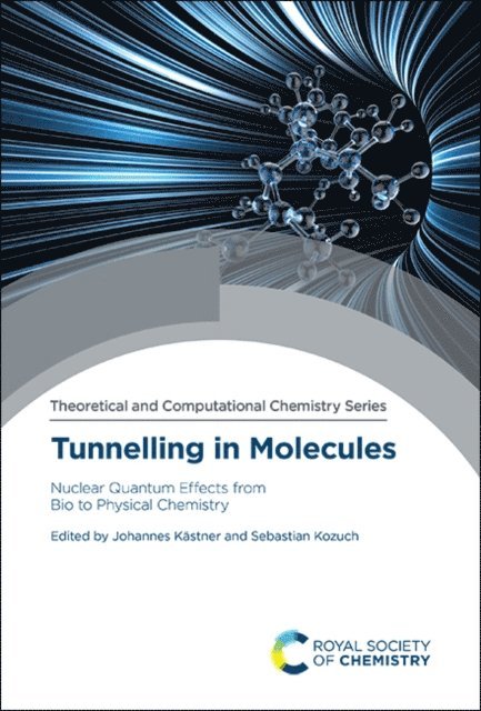Sebastian Kozuch, Johannes Kastner - Tunnelling in Molecules, E-bok
