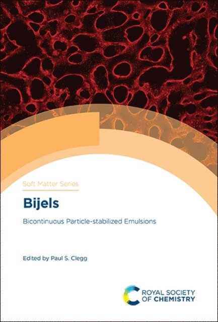 Paul S Clegg - Bijels, E-bok