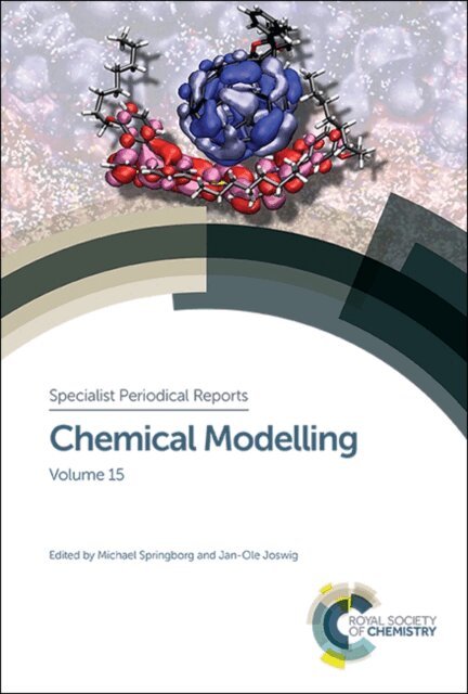 Jan-Ole Joswig, Michael Springborg - Chemical Modelling, E-bok