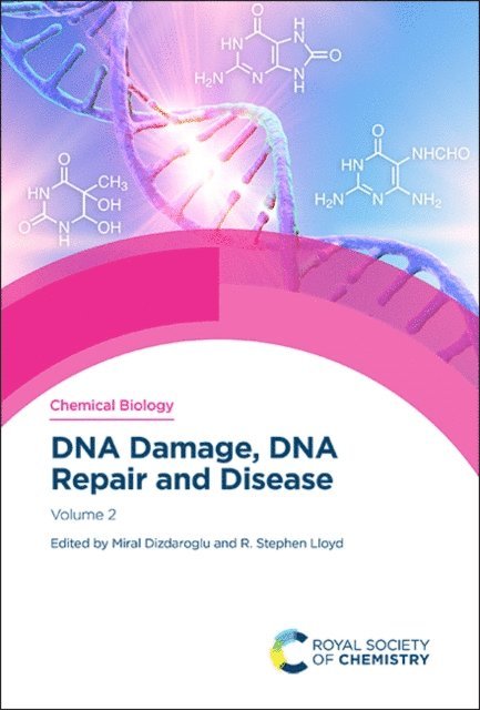 R Stephen Lloyd, Miral Dizdaroglu - DNA Damage, DNA Repair and Disease, E-bok