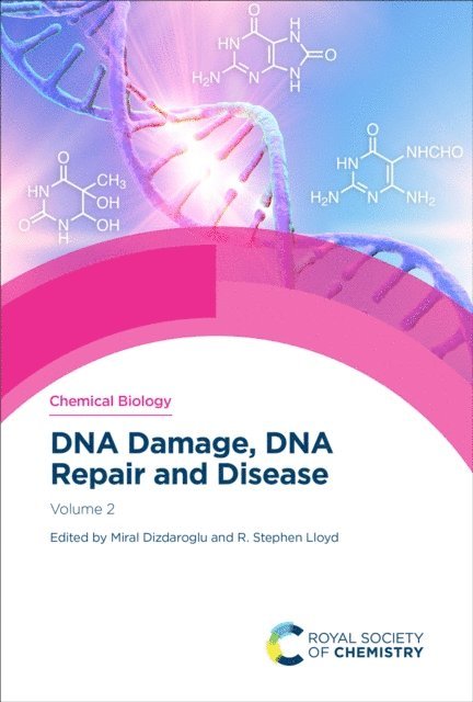R Stephen Lloyd, Miral Dizdaroglu - DNA Damage, DNA Repair and Disease, E-bok