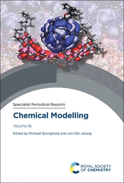 Jan-Ole Joswig, Michael Springborg - Chemical Modelling, E-bok