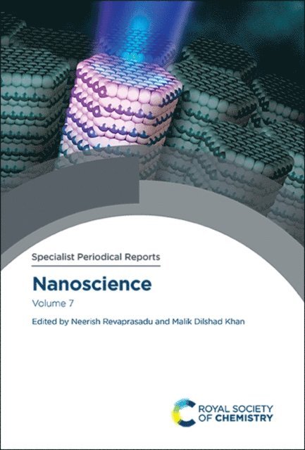 Malik Dilshad Khan, Neerish Revaprasadu - Nanoscience, E-bok