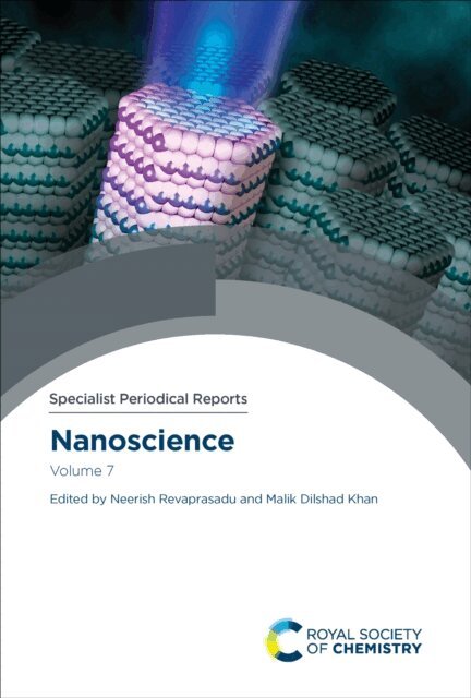 Malik Dilshad Khan, Neerish Revaprasadu - Nanoscience, E-bok