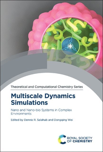 Dongqing Wei, Dennis R. Salahub - Multiscale Dynamics Simulations, E-bok