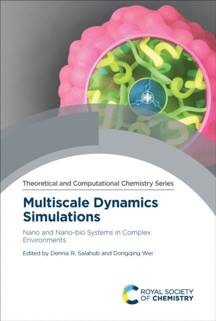 Dongqing Wei, Dennis R. Salahub - Multiscale Dynamics Simulations, E-bok