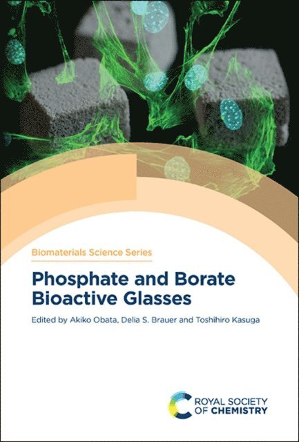 Toshihiro Kasuga, Delia S Brauer, Akiko Obata - Phosphate and Borate Bioactive Glasses, E-bok